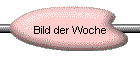 Bild der Woche