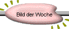 Bild der Woche